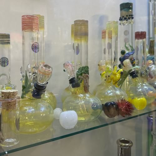 svc6 glass sld1